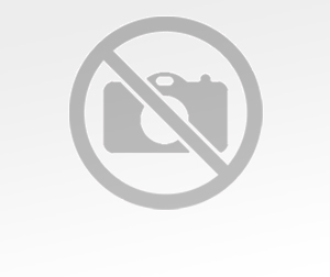 Çam Eskitme (GES-001)